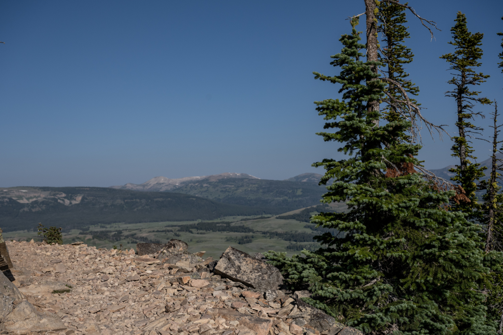 An image depicting the trail Osprey Falls Trail and its surrounding area.