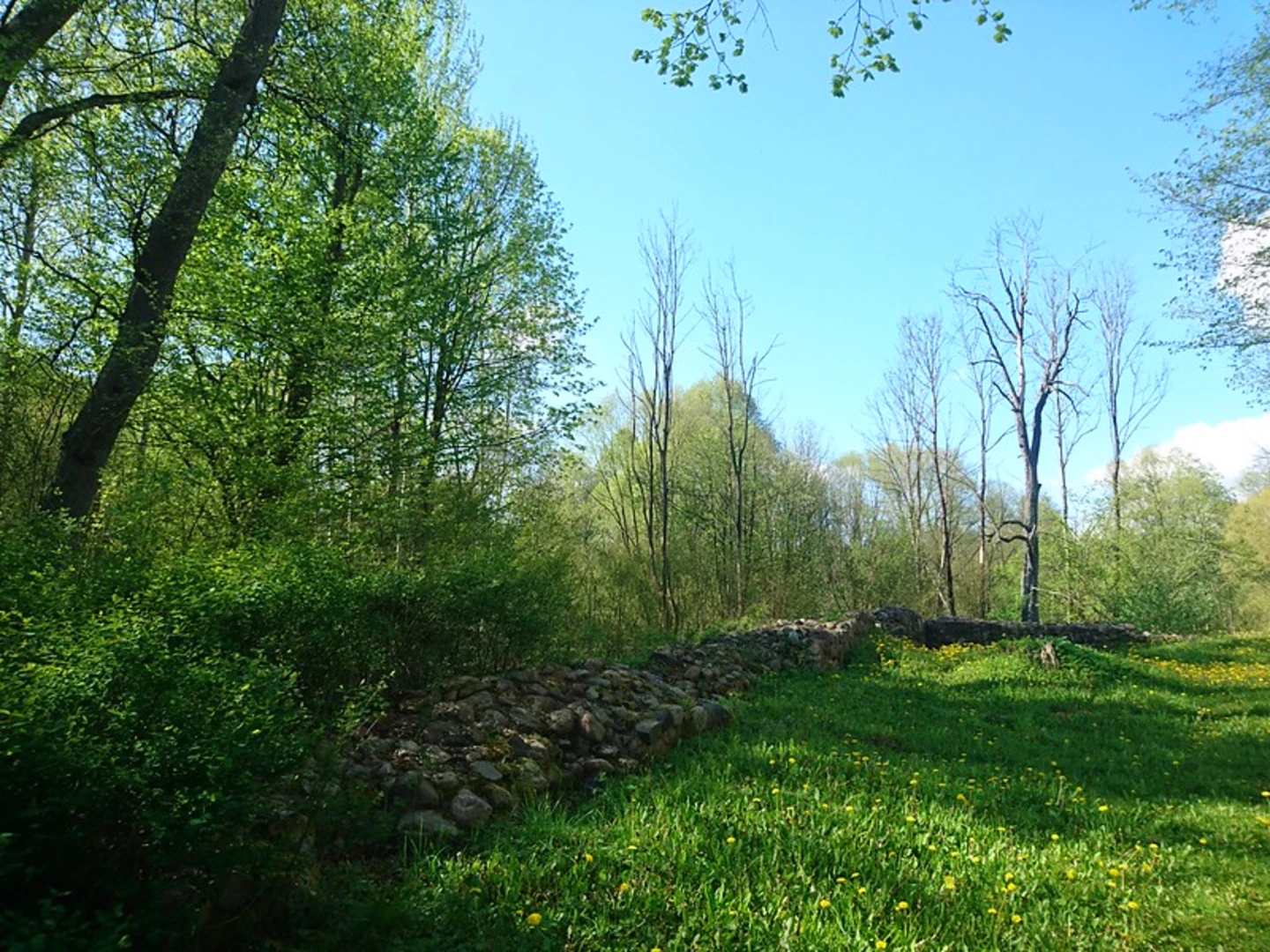 An image depicting the trail Welschbach and Hexenberg Loop and its surrounding area.