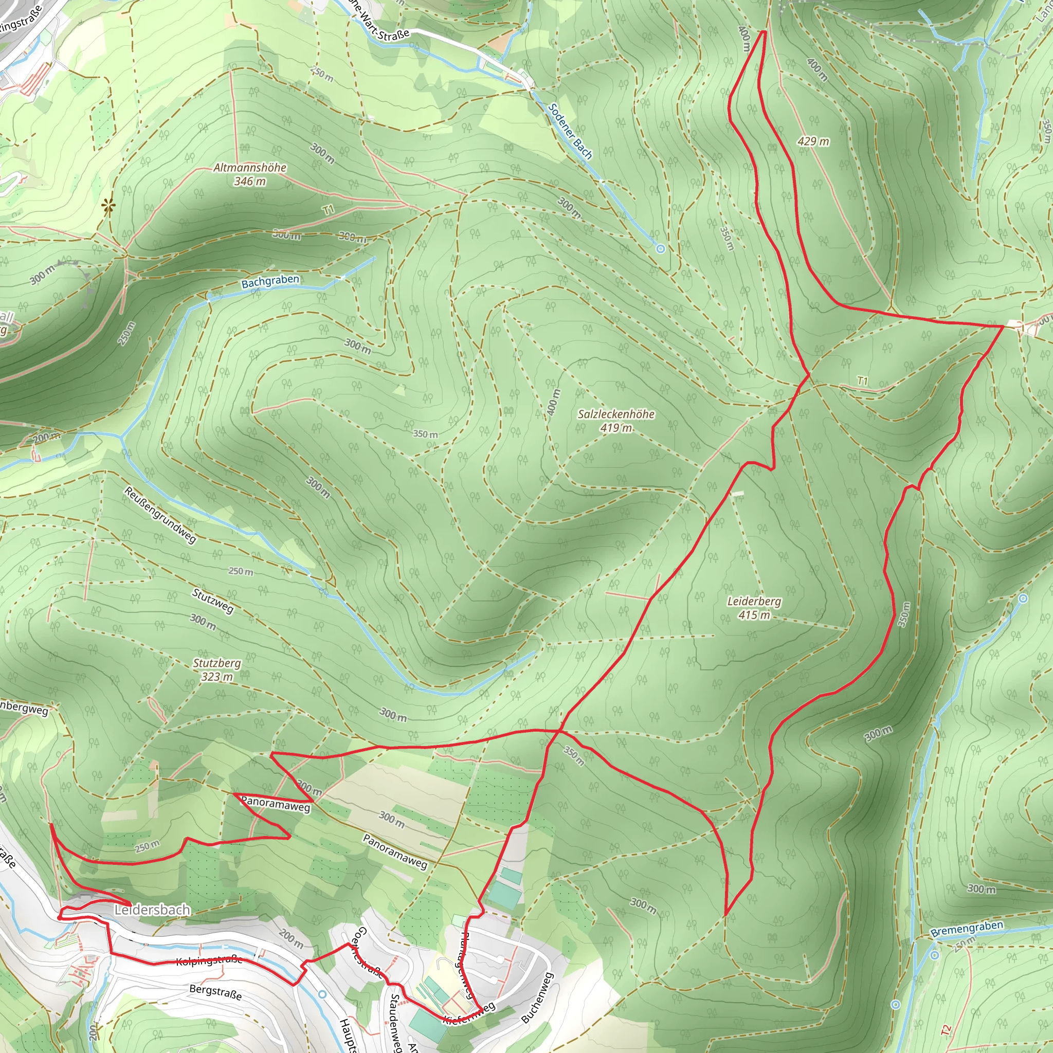Kulturweg Leidersbach and Schwarz Leidersbach mobile static map