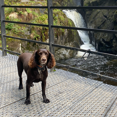 Paula Thompson  avatar