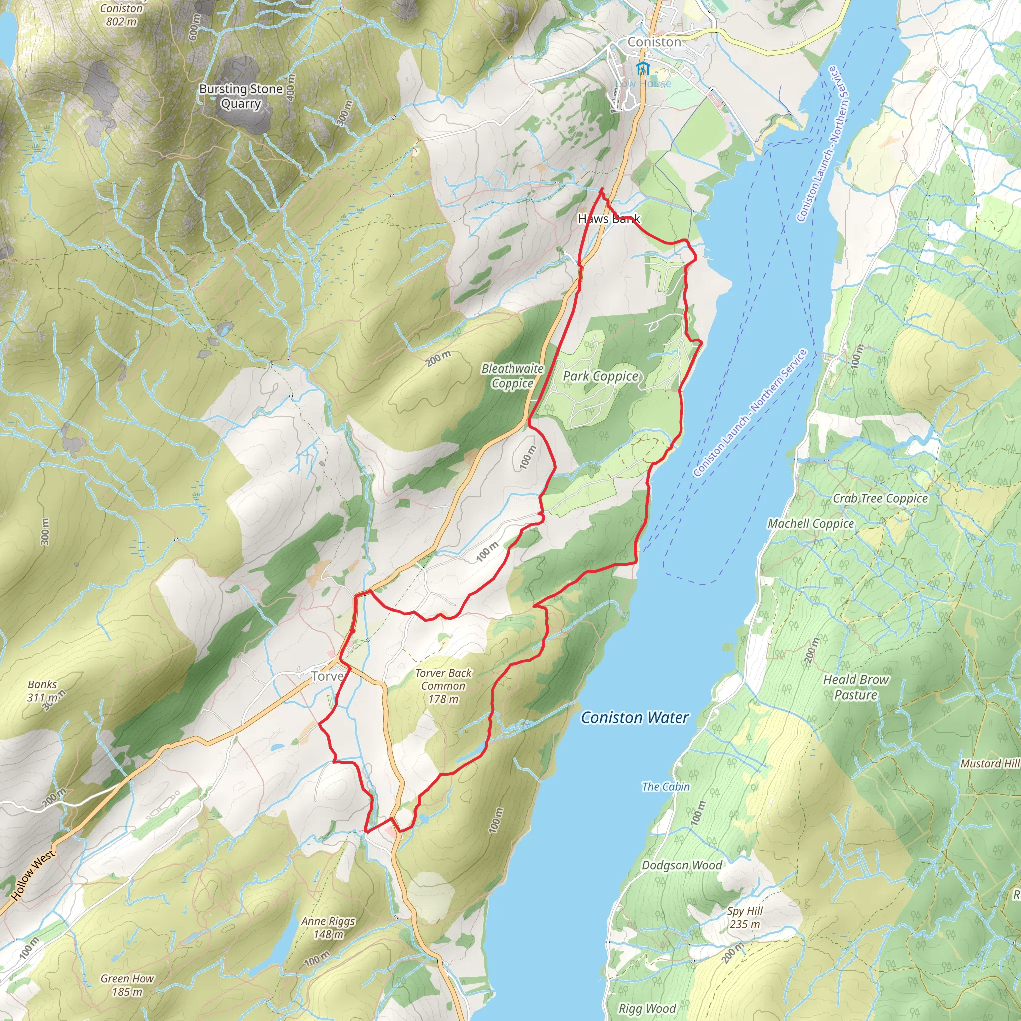 Park Coppice, Torver Common Wood and Long Moss Loop mobile static map