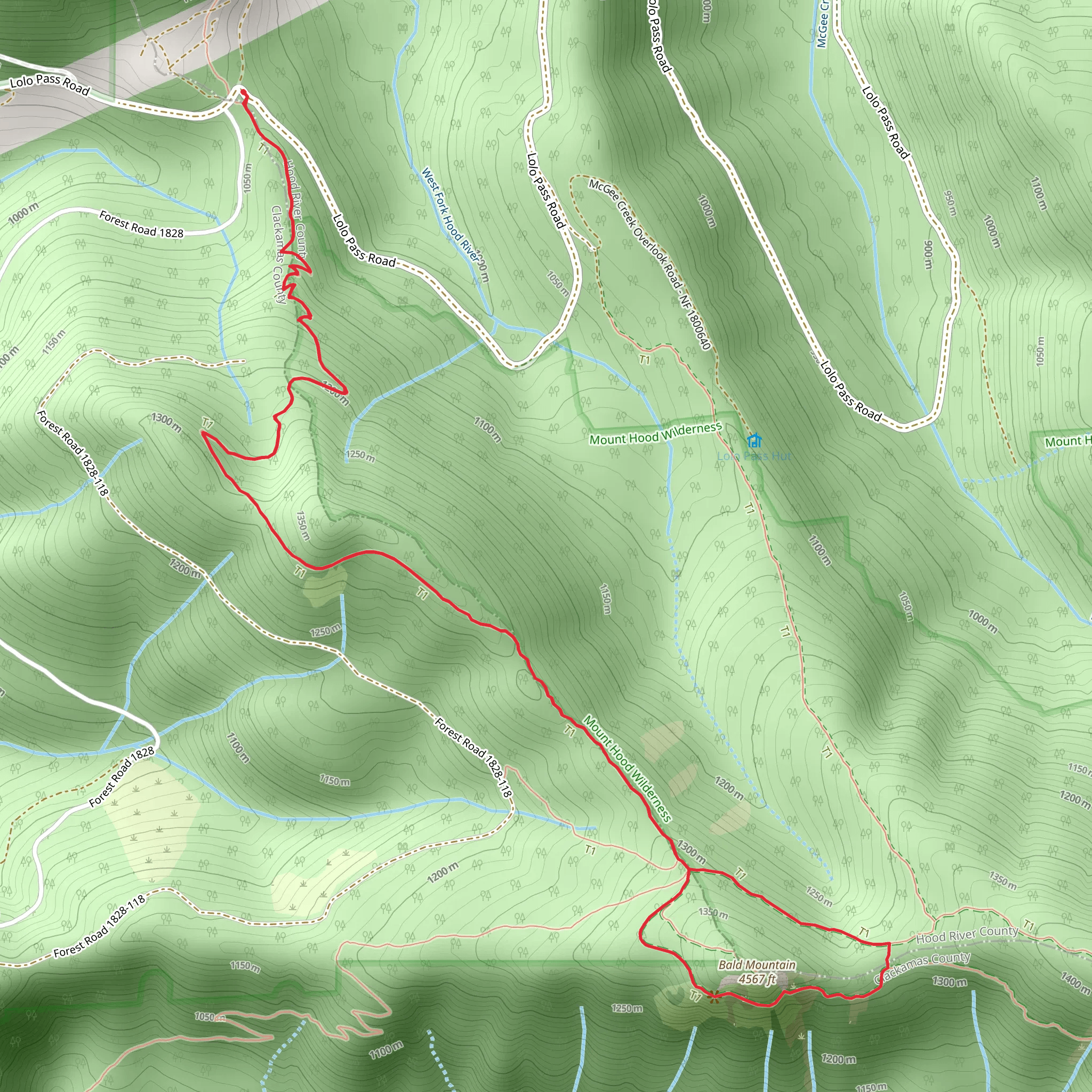 Bald Mountain Loop via PCT mobile static map