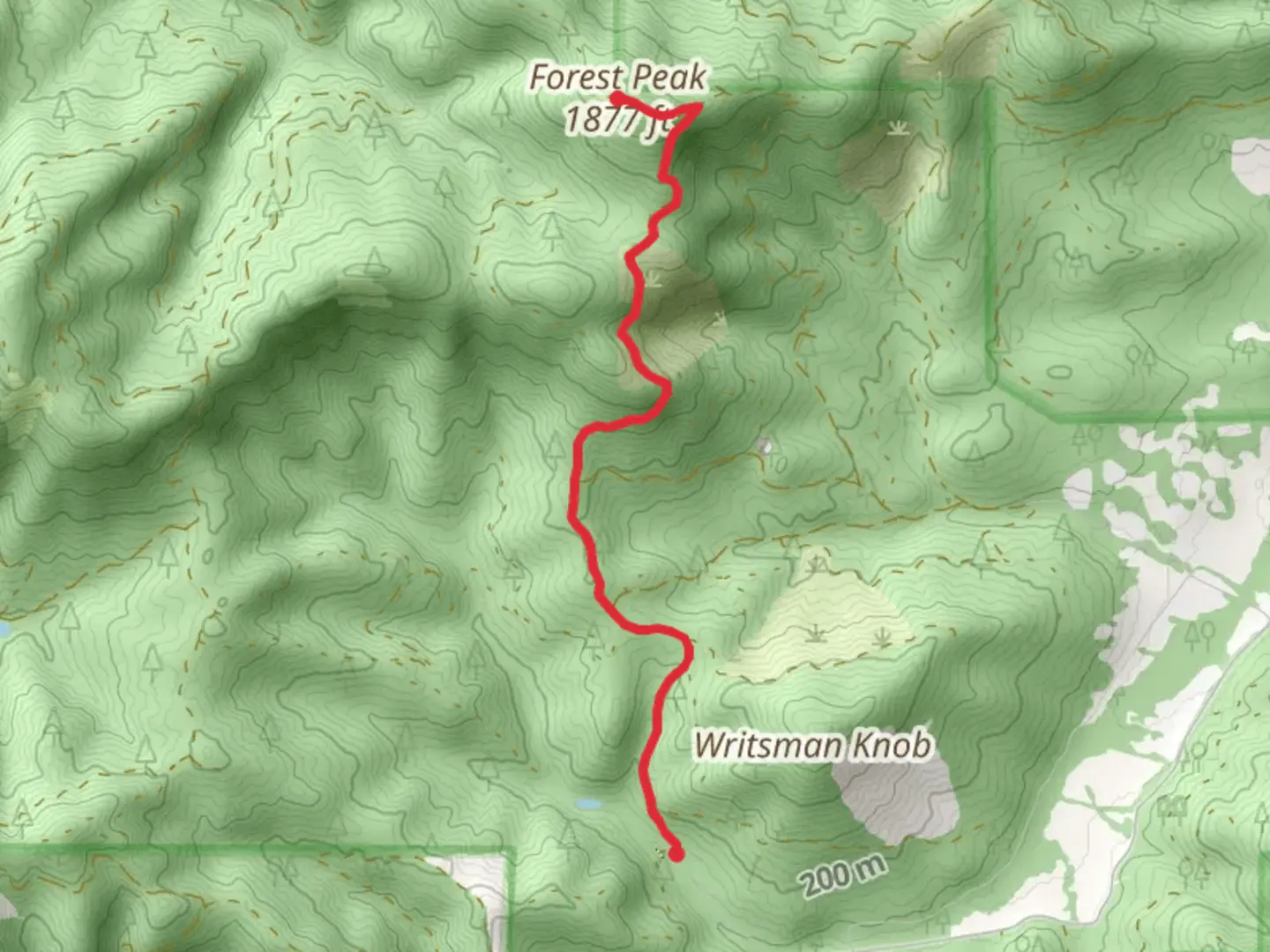 An image depicting the trail Forest Peak from Belden Creek Road and its surrounding area.