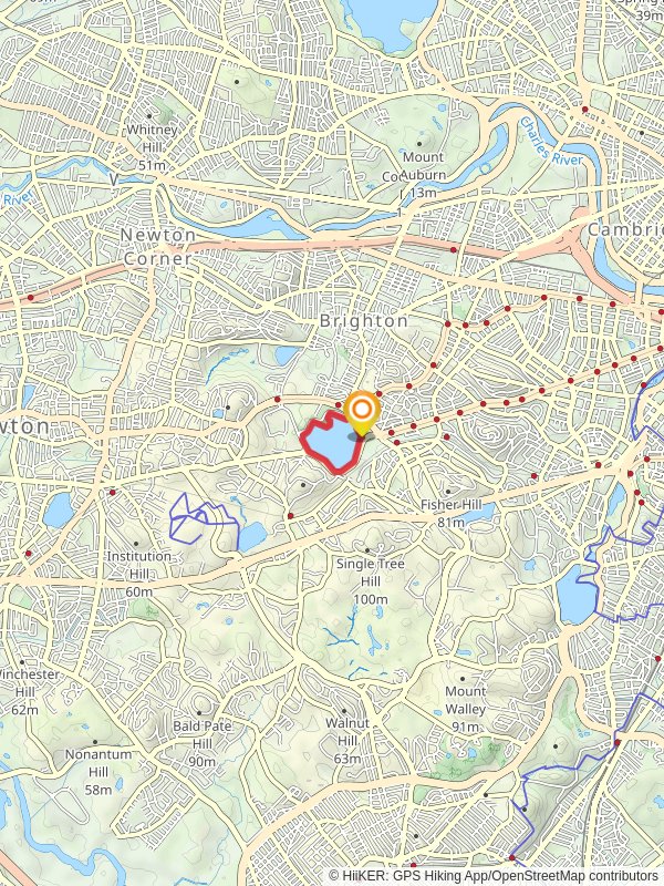Chestnut Hill Reservoir Loop