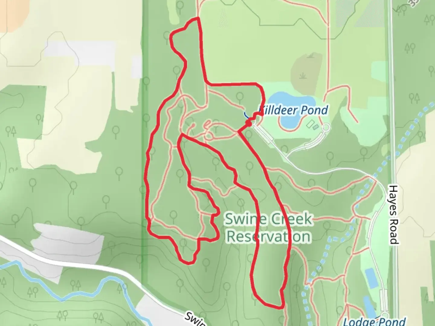 An image depicting the trail Wagon and Grey Fox Loop Trail and its surrounding area.