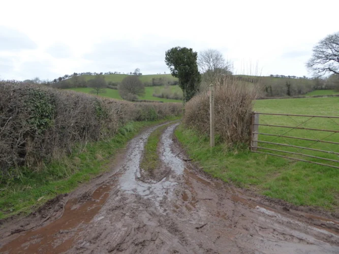 Wentnor to Norbury Loop