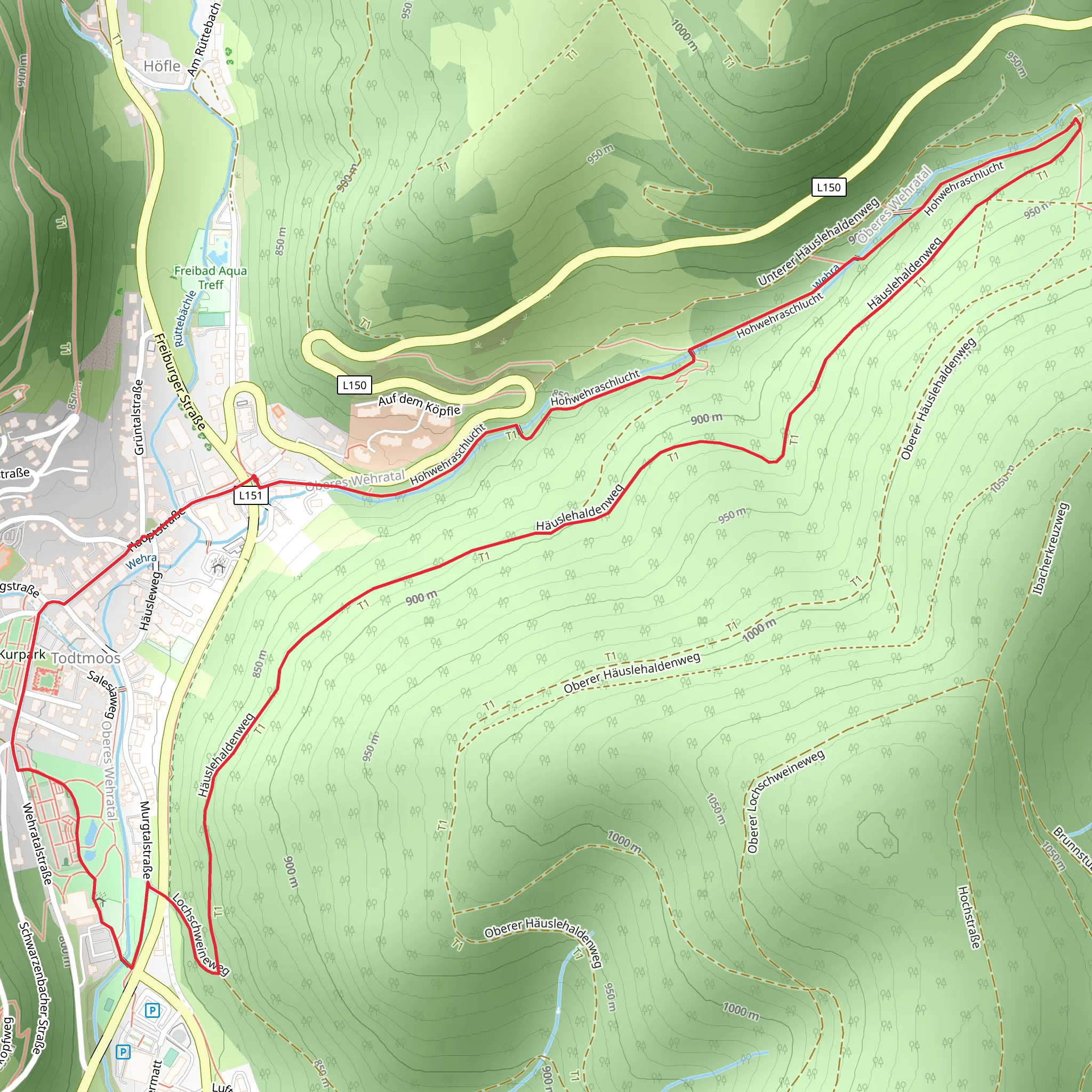 Hohwehraschlucht and Häuslehaldenweg Loop from Todtmoos mobile static map