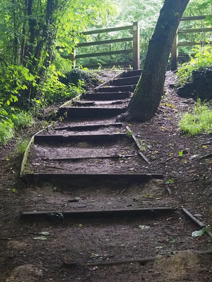 An image depicting the trail Silkstone Common to Dodworth Walk and its surrounding area.