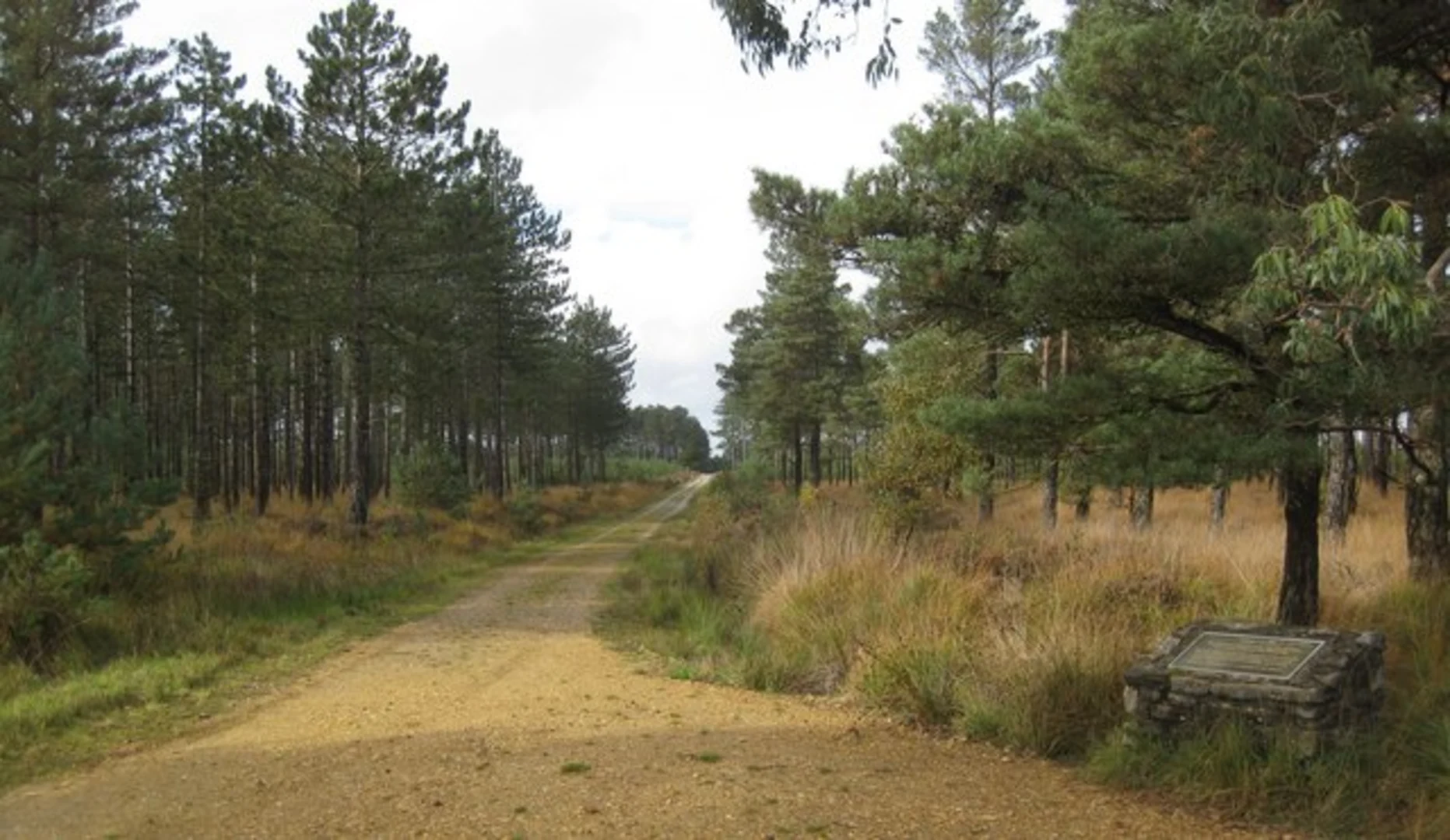 An image depicting the trail Birchwood Tourist Park Loop and its surrounding area.