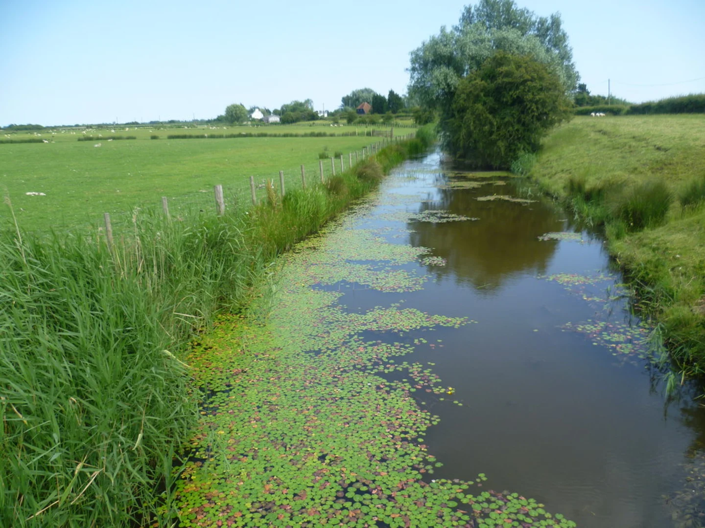 An image depicting the trail Appledore to Aldington Walk and its surrounding area.
