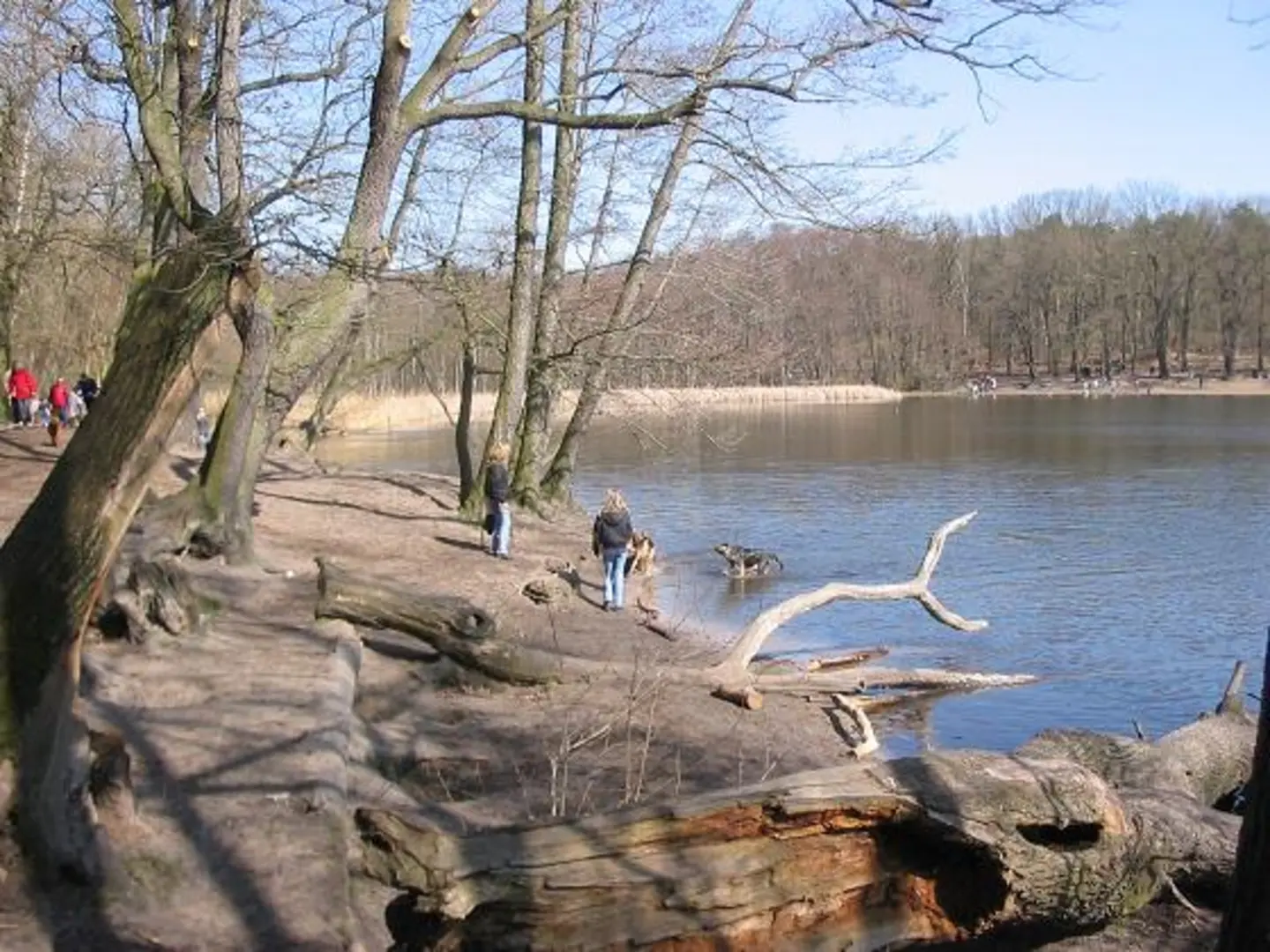 An image depicting the trail Grunewaldsee Loop via Wannseeweg and its surrounding area.
