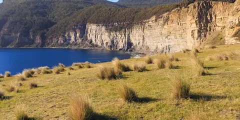An image depicting the trail The Maria Island Walk and its surrounding area.