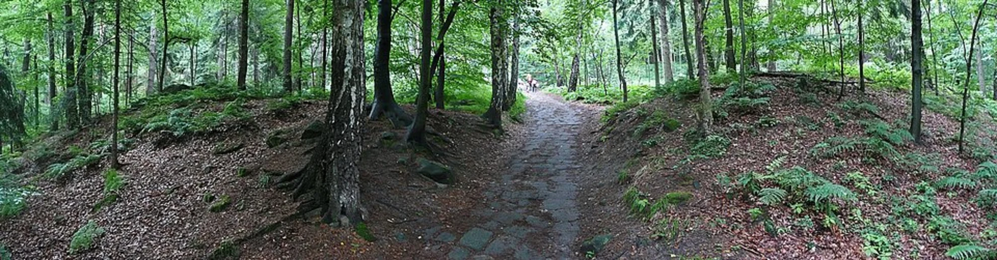 An image depicting the trail Steintrog and Pfaffenstein via Malerweg and its surrounding area.