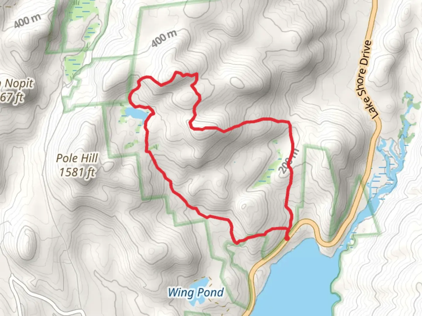 An image depicting the trail Pole Hill Pond Loop Trail and its surrounding area.