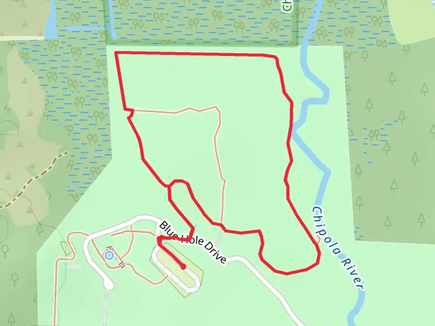 An image depicting the trail Chipola River Trail - Blue and its surrounding area.