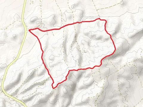 The Vineyards PR A 398