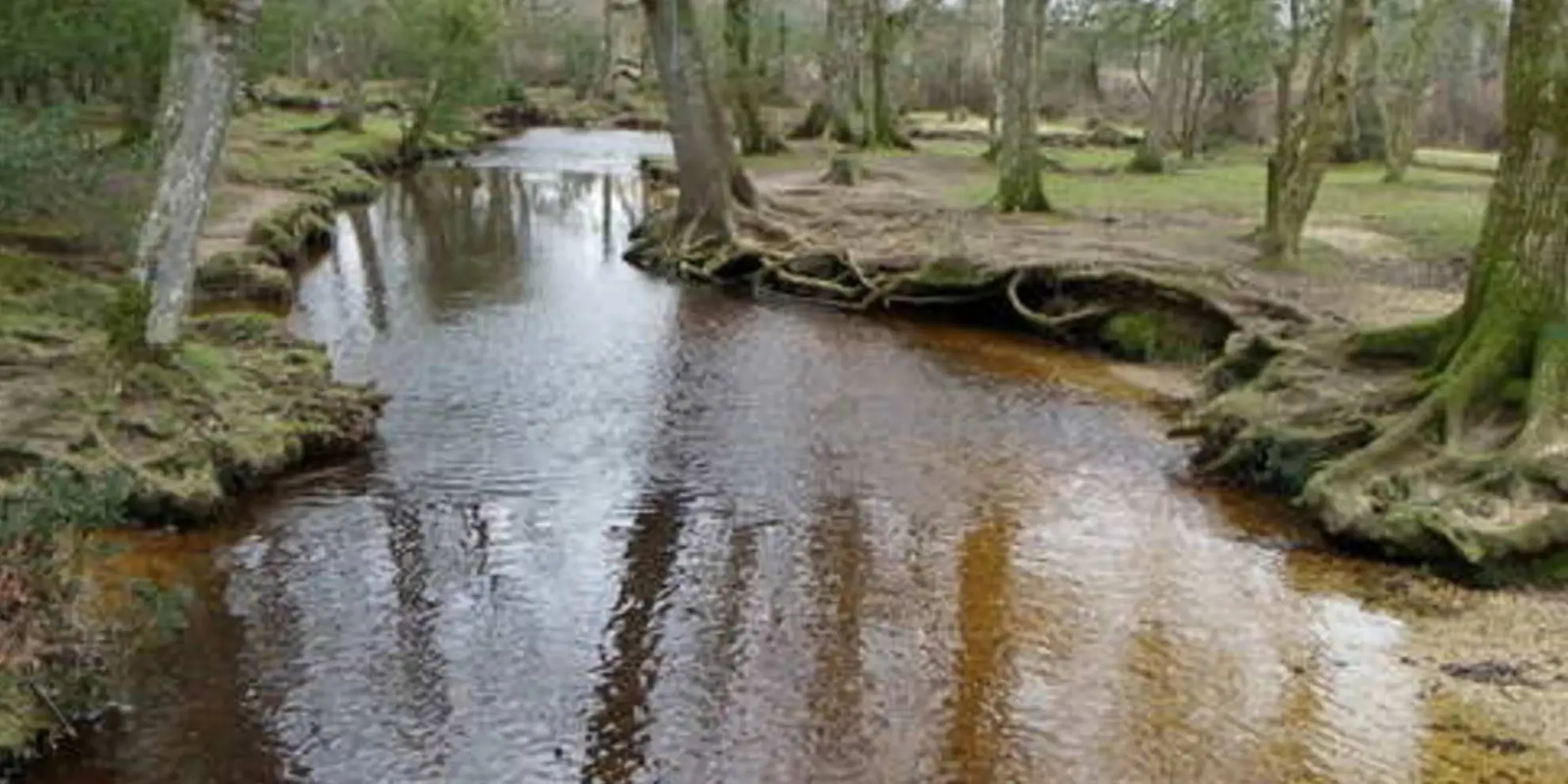 An image depicting the trail Brockenhurst - Black Knowl and Ober Water and its surrounding area.
