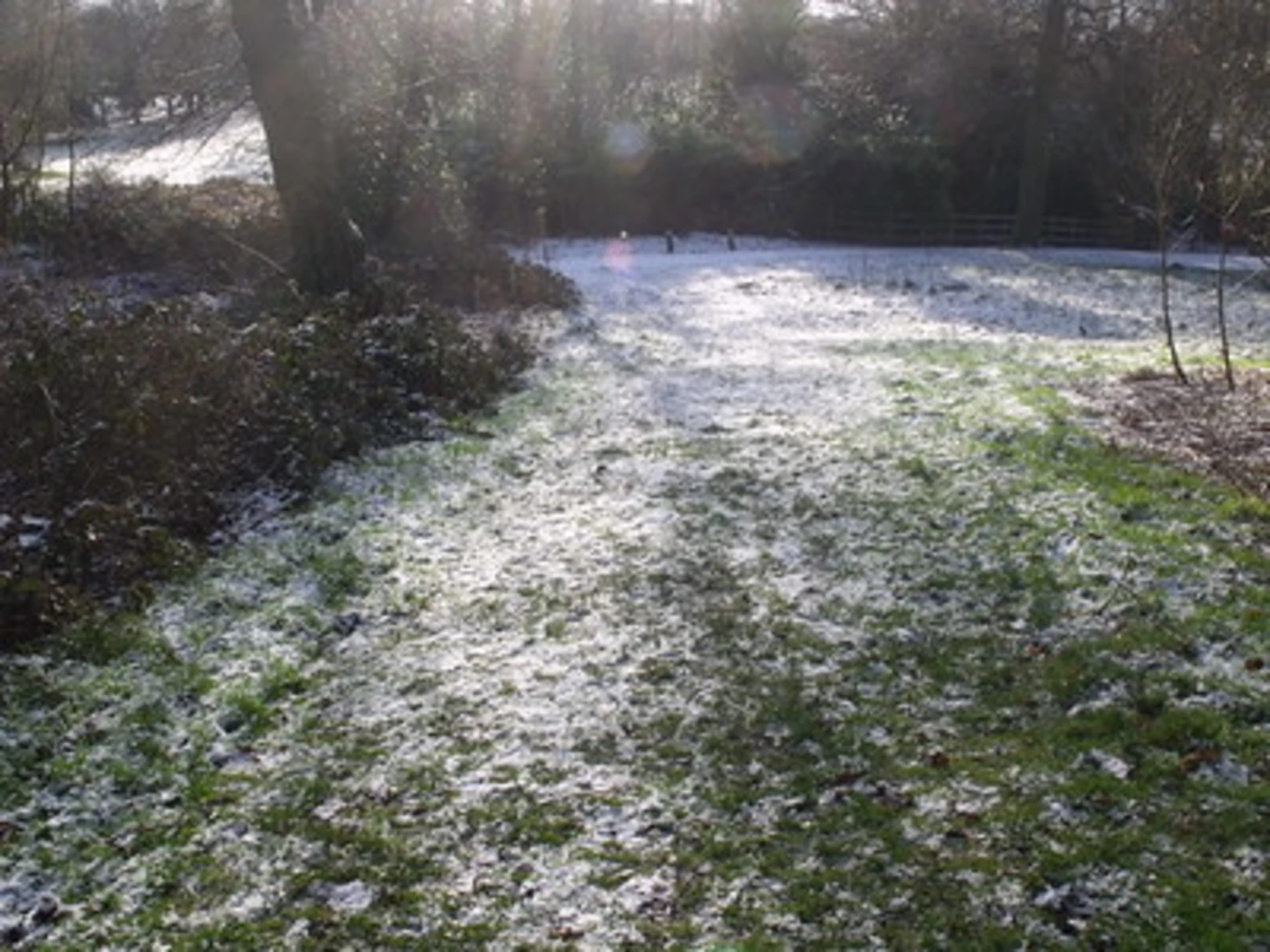 An image depicting the trail Long Pond Walk - Highbury Park and its surrounding area.