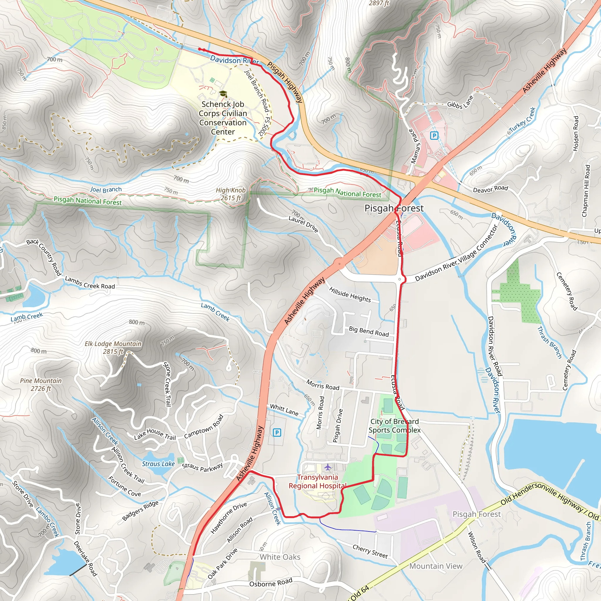 Estatoe Trail and Brevard Greenway mobile static map
