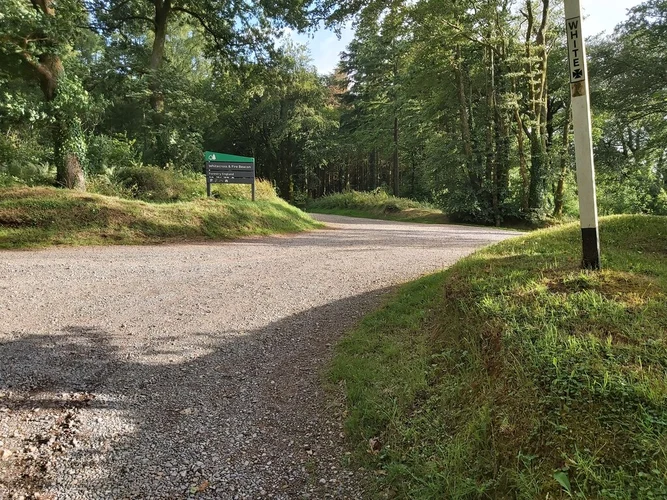 Harpford Wood, Beacon Hill and River Otter Loop