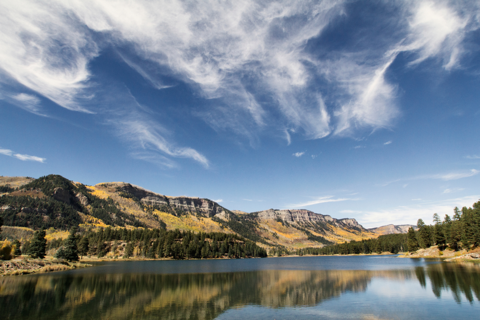 An image depicting the trail Chris Park Trail and its surrounding area.
