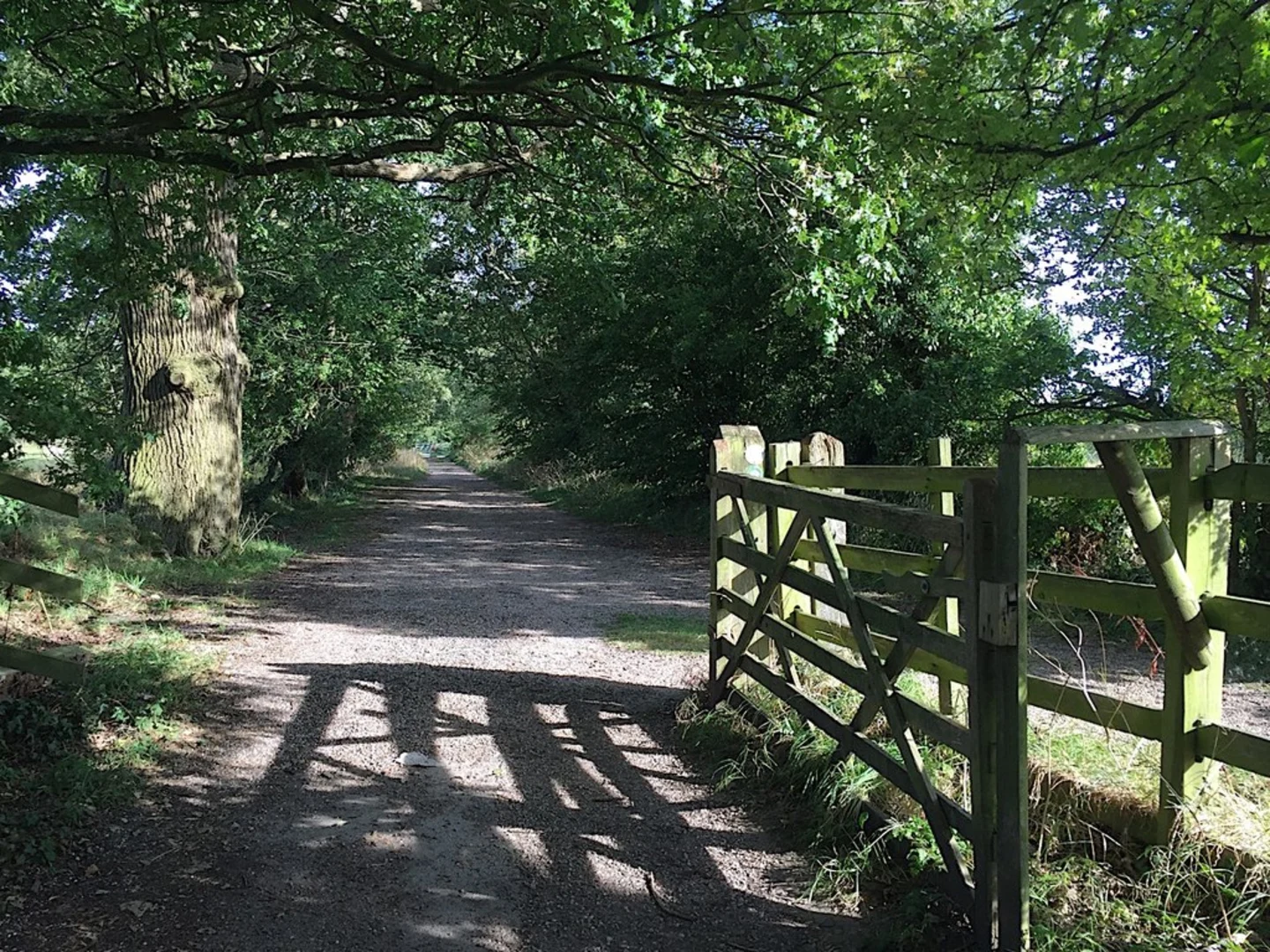 An image depicting the trail Baddesley Clinton and Boddesley Clinton Loop and its surrounding area.