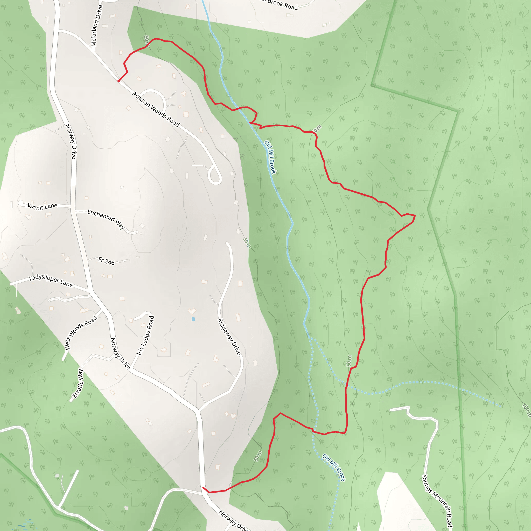 Acadian Woods Road Trail mobile static map