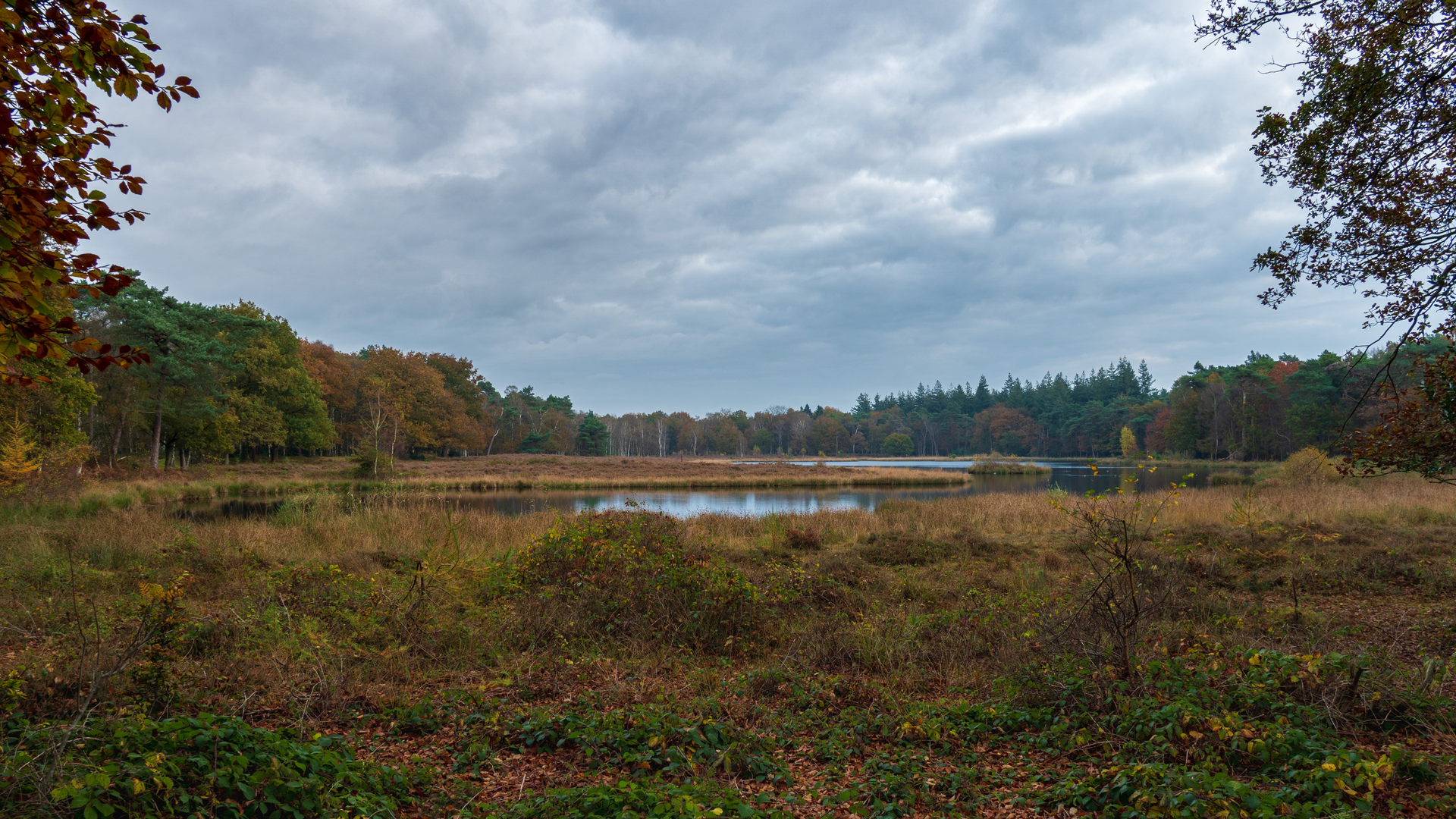 An image depicting the trail Maartensdijkse Bos and Smithuyserbos Loop and its surrounding area.