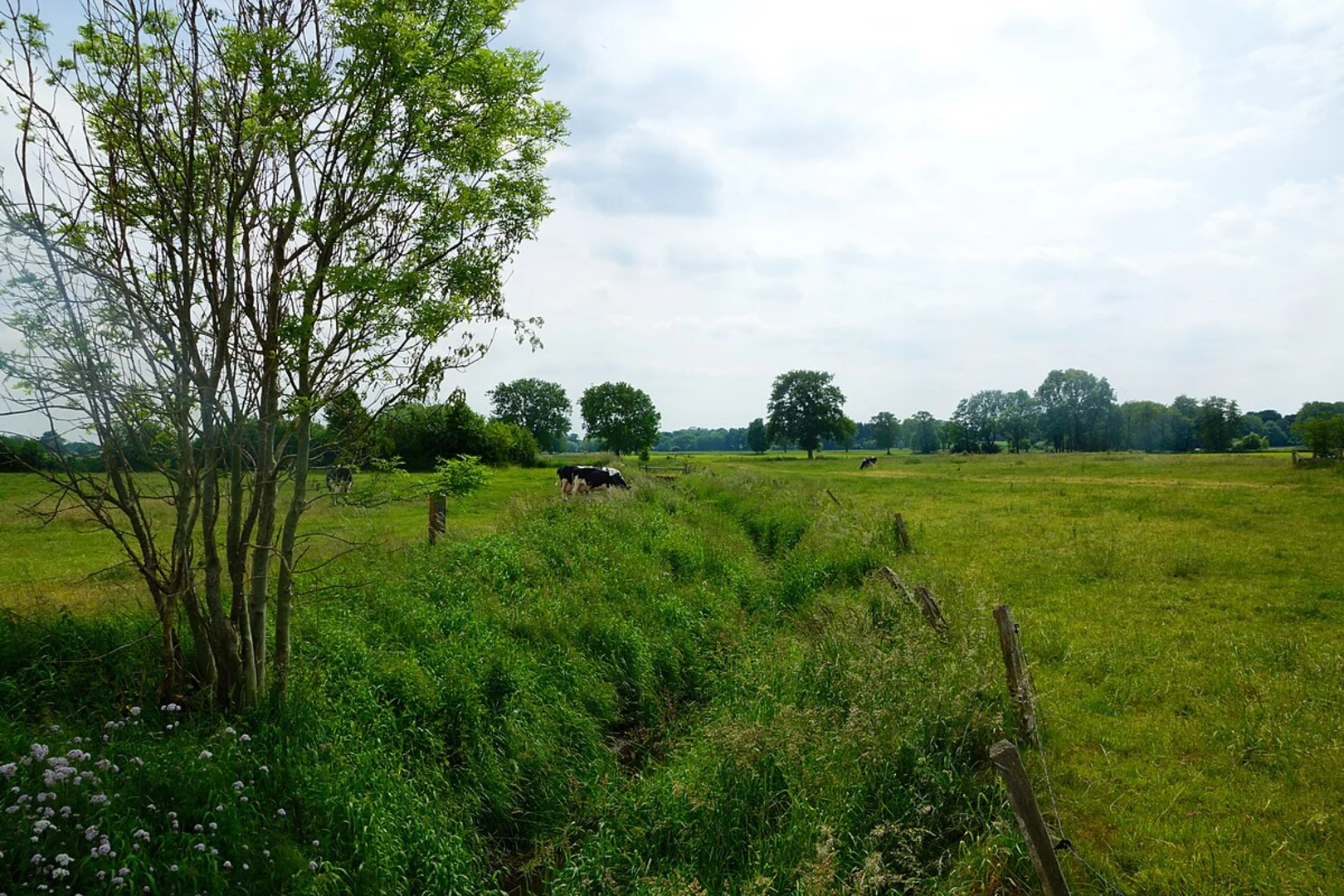An image depicting the trail Bargteheide to Tremsbüttel Loop via Rund um Bargteheide and its surrounding area.