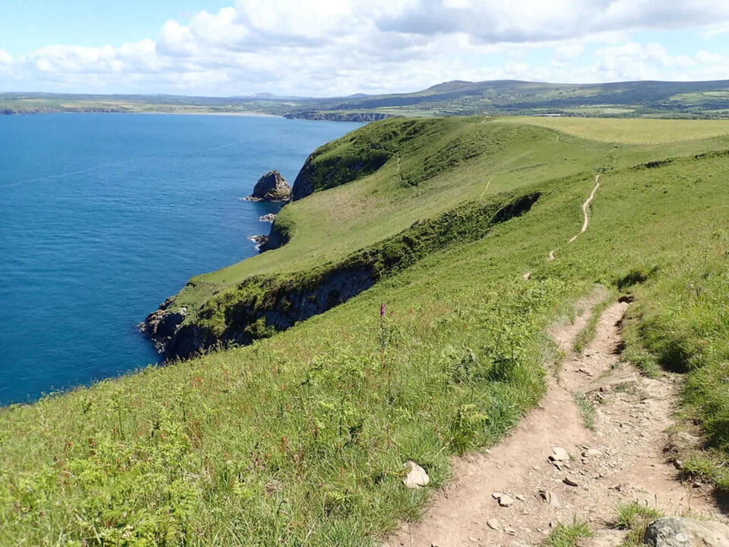 An image depicting the trail Dinas Head Loop and its surrounding area.