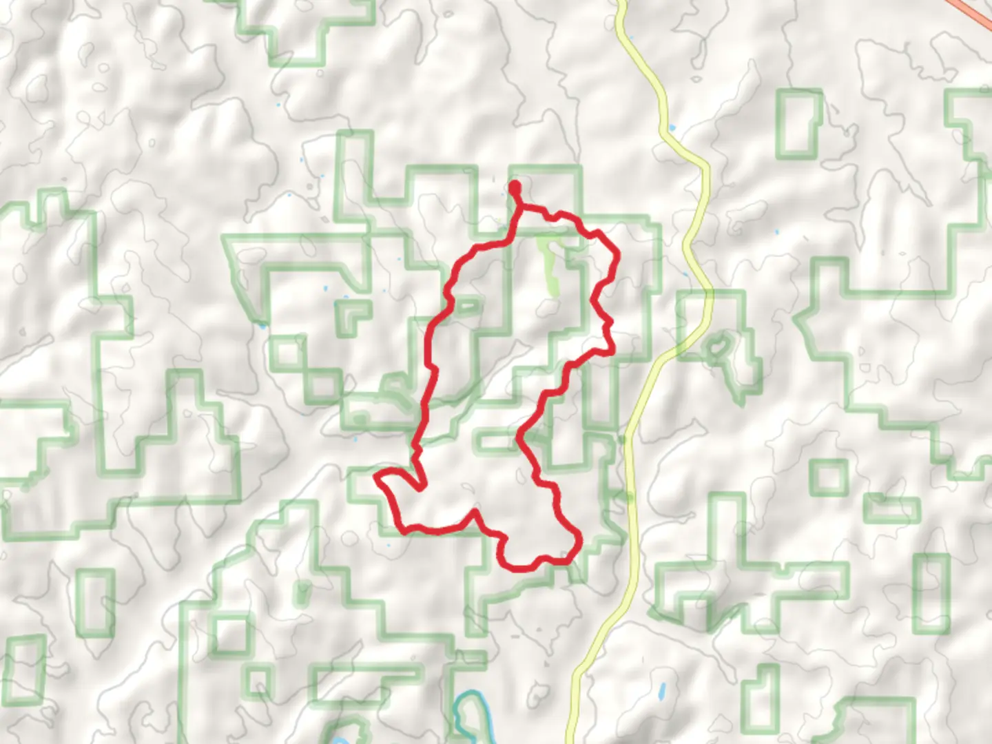 An image depicting the trail Youngs Creek Loop and its surrounding area.