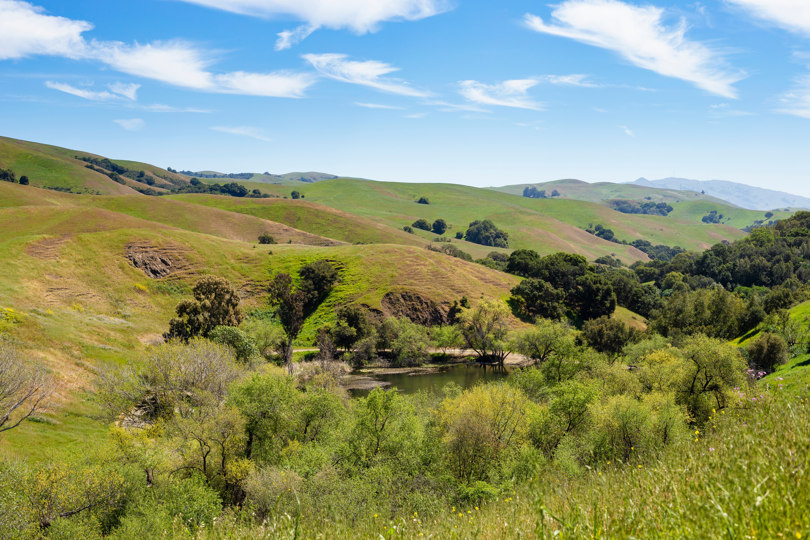 An image depicting the trail Dry Creek Loop and its surrounding area.
