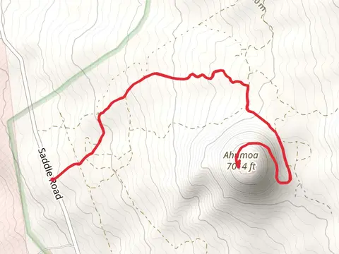 Ahumoa from Old Saddle Road