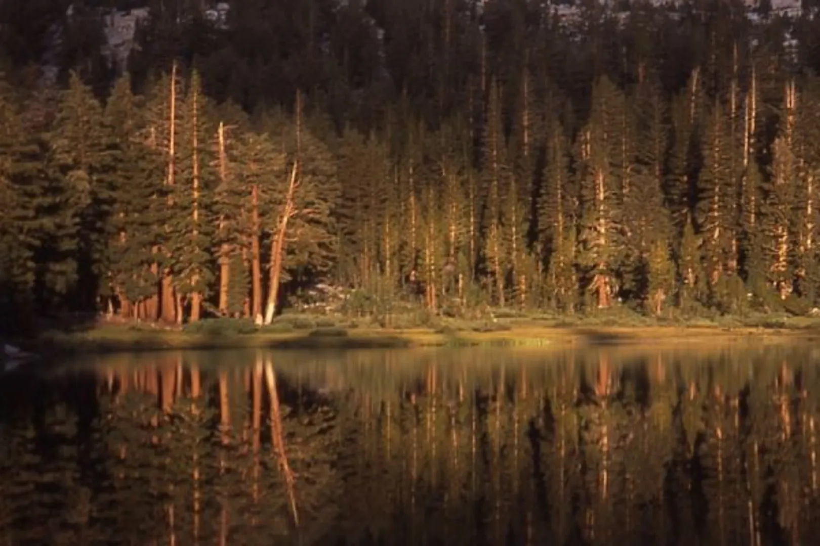An image depicting the trail Joe Crane Lake and Cora Lakes via Isberg Trail and its surrounding area.
