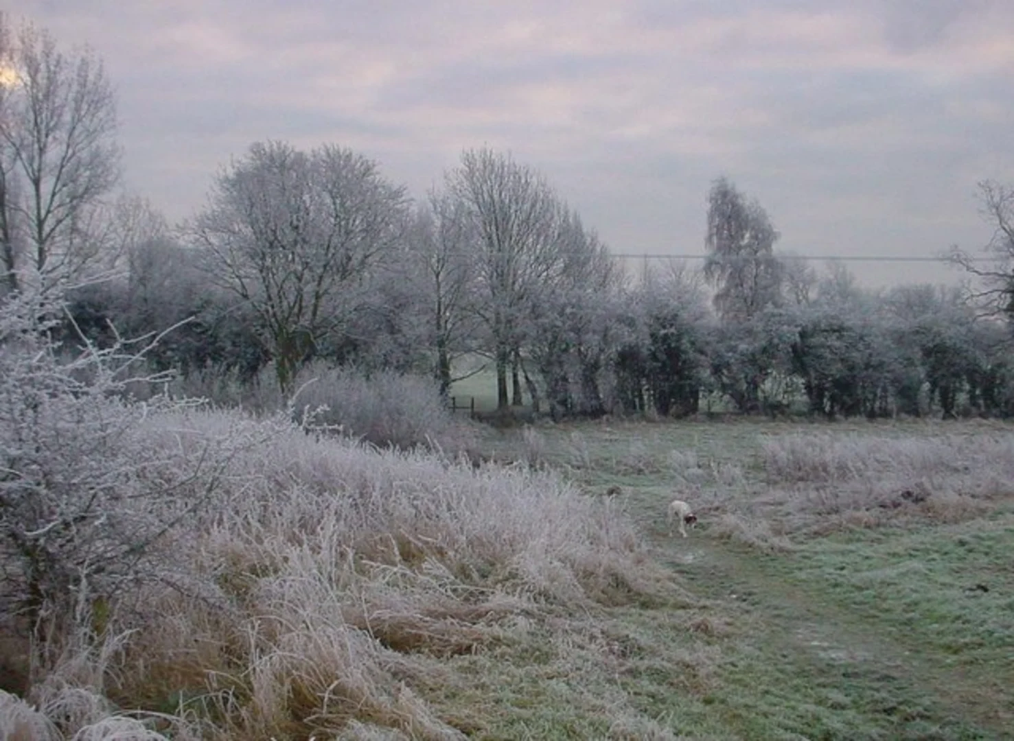 An image depicting the trail Glen Gorse Golf Club Loop and its surrounding area.