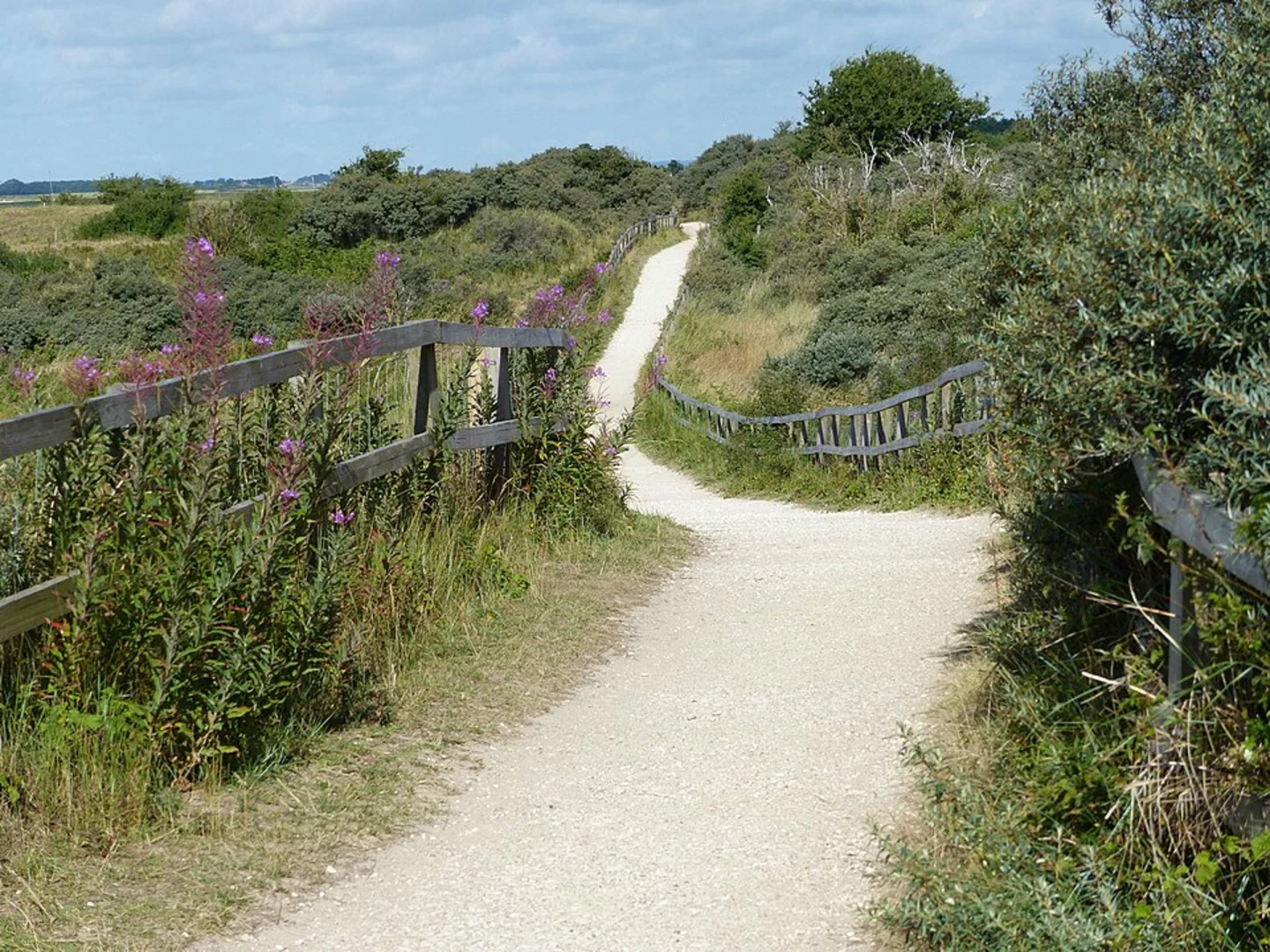 An image depicting the trail Gibraltar Point National Nature Reserve Walk and its surrounding area.