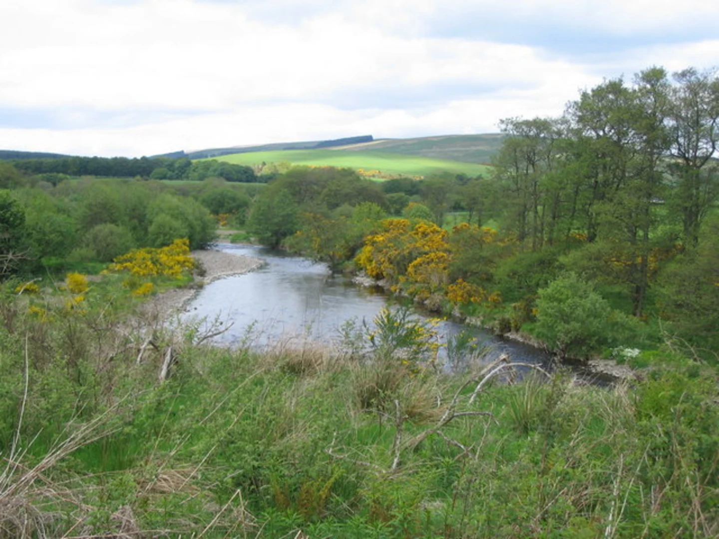 An image depicting the trail Water of Ae Riverside Loop Trail from Ae Village and its surrounding area.