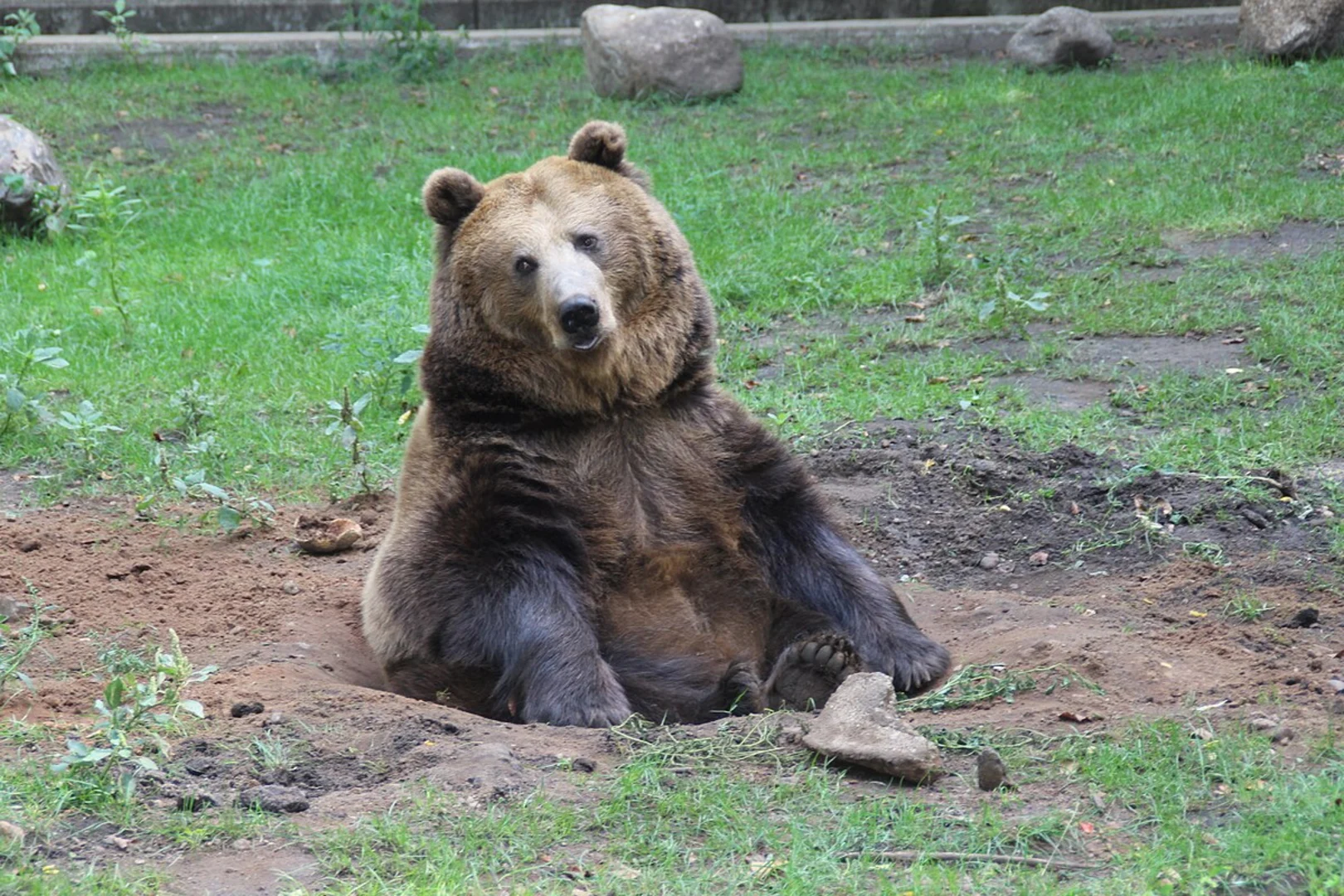 An image depicting the trail Zoo Eberswalde Loop and its surrounding area.