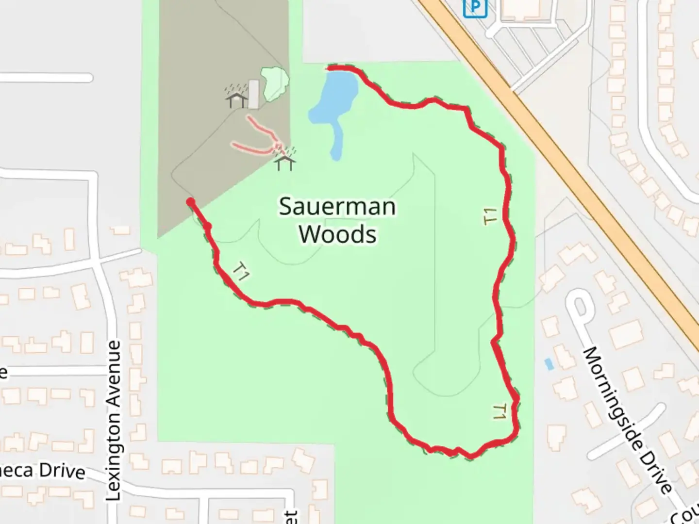An image depicting the trail Sauerman Woods and its surrounding area.