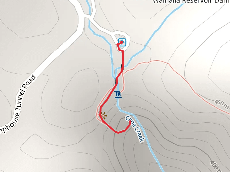 Cane Creek and Isaqueena Falls
