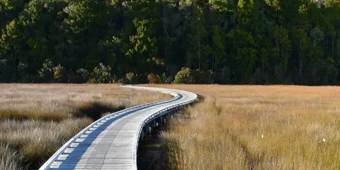 An image depicting the trail Ōkārito Trig Walk and its surrounding area.