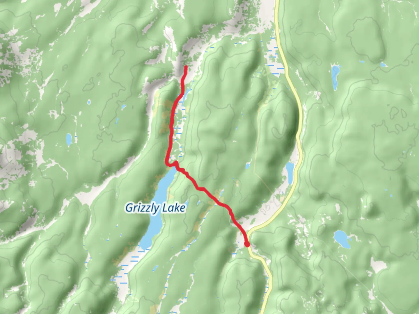 An image depicting the trail Grizzly Lake Trail and its surrounding area.