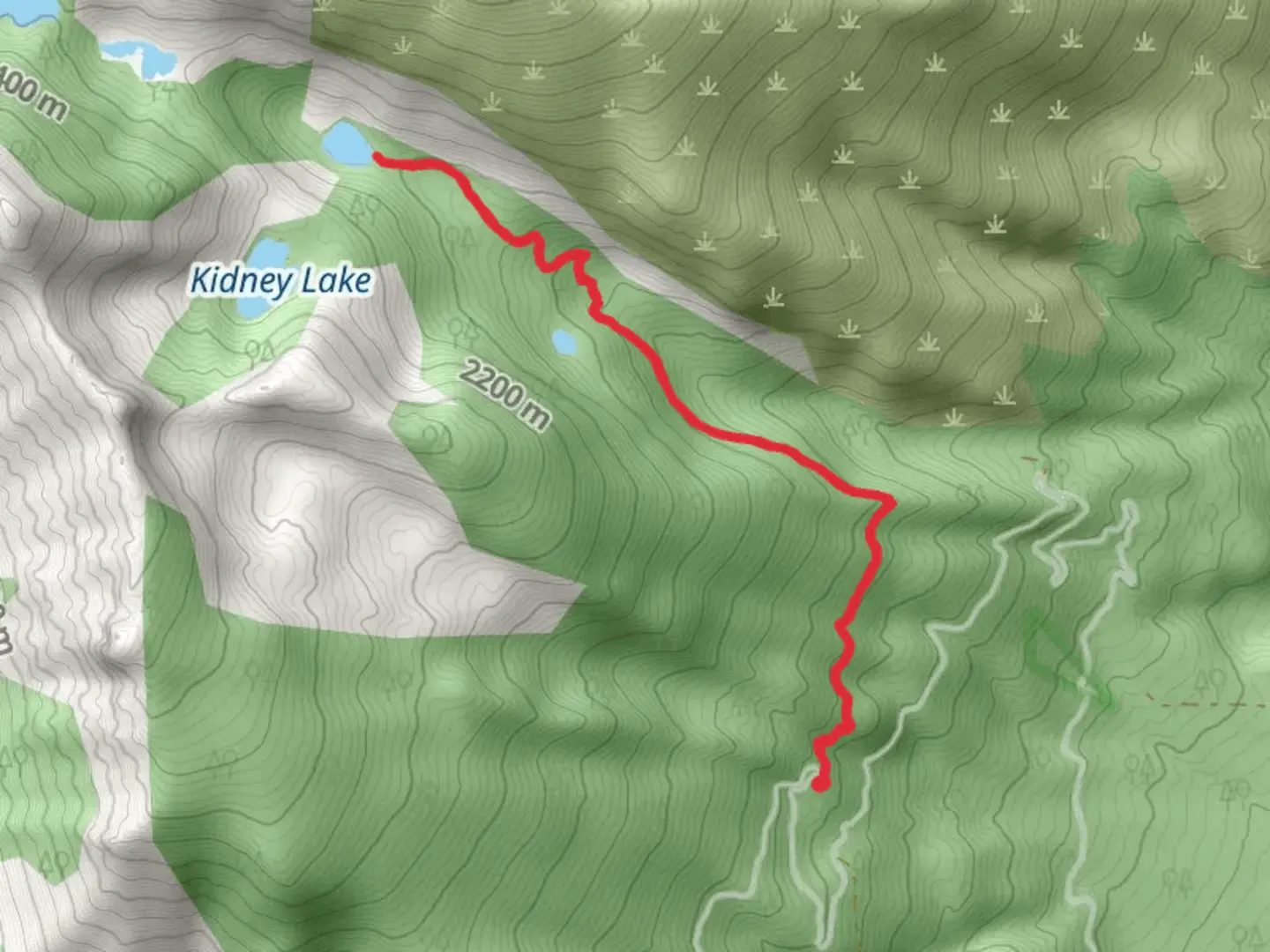 An image depicting the trail Camas Creek Trail and its surrounding area.