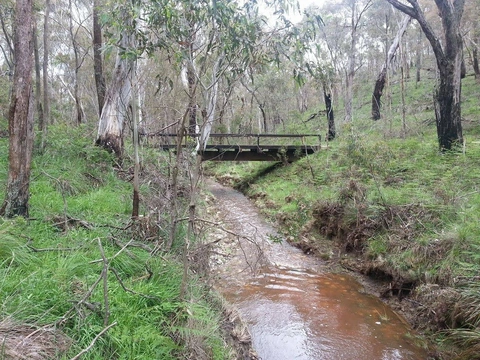 An image depicting the trail Enfield Bald Hills Loop Trail and its surrounding area.