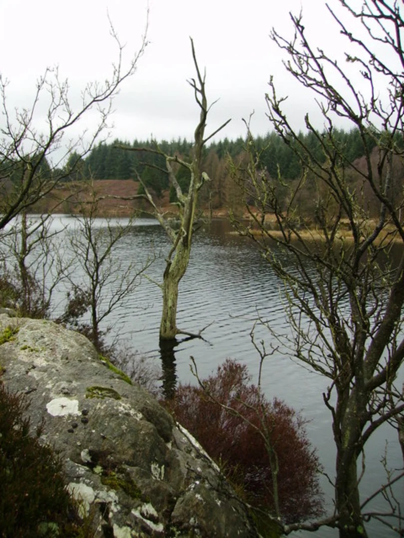 An image depicting the trail Simpson Ground Reservoir and Birch Fell Plantation Loop and its surrounding area.