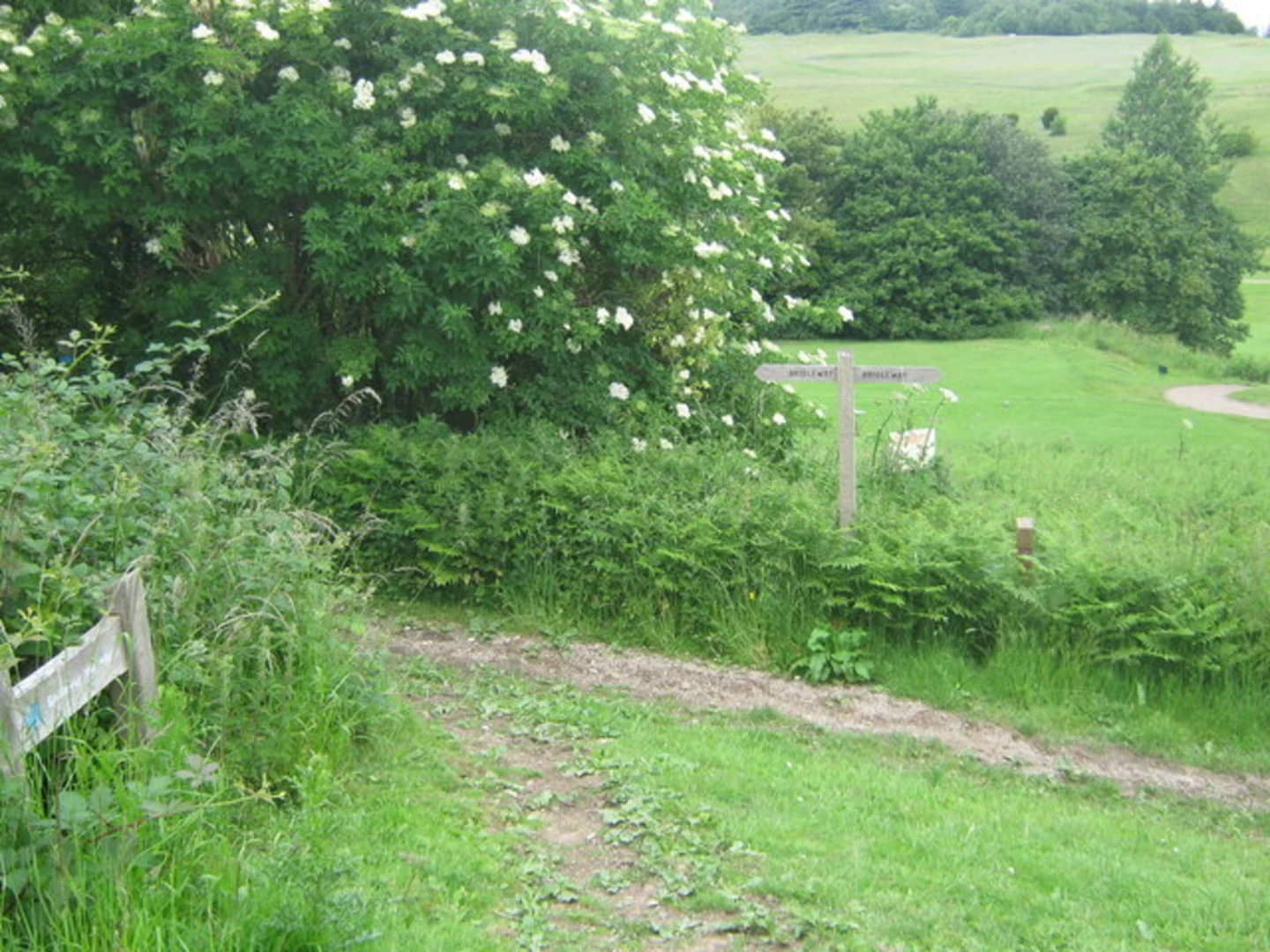 An image depicting the trail Lullingstone Country Park and its surrounding area.
