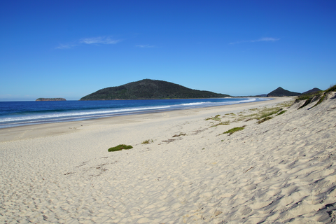Yacaaba Headland Walking Track
