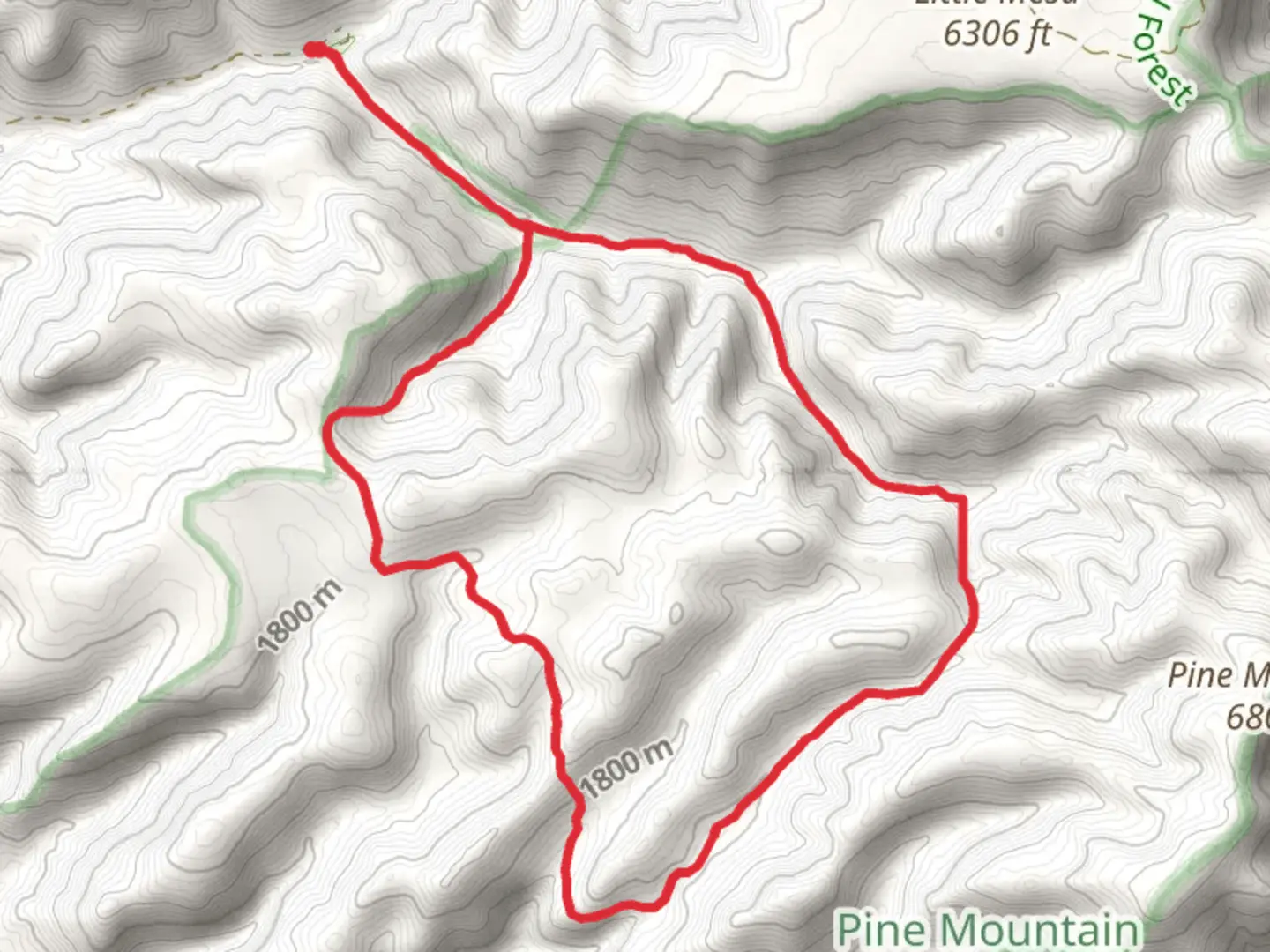 An image depicting the trail Short cut and Nelson via Pine Flat Loop Trail and its surrounding area.