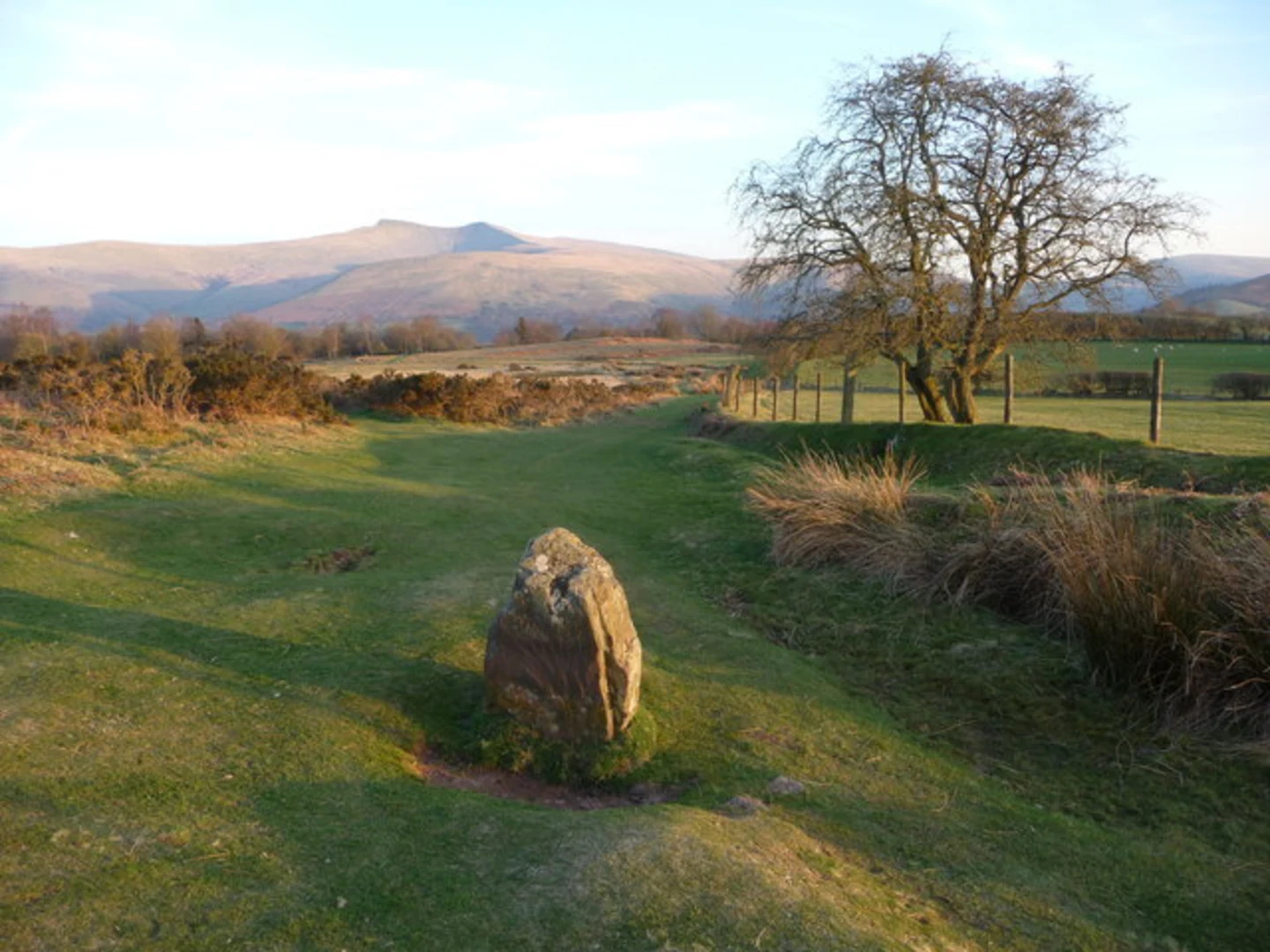 An image depicting the trail Mynydd Illtud Common Walk and its surrounding area.