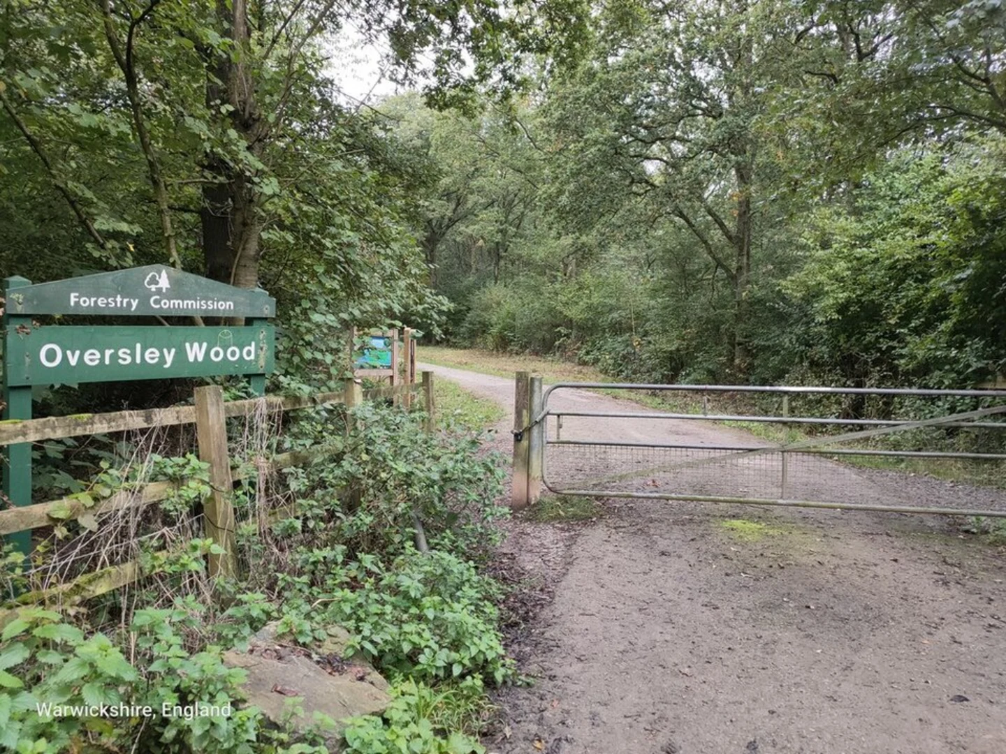 An image depicting the trail Oversley Wood and its surrounding area.
